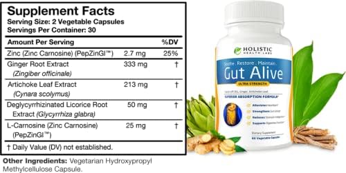 Holistic Health Labs Gut Alive - All Natural Support to Fight IBS, Heartburn, Acid Indigestion, Acid Reflux, Bloating & Gas. Unique Formulation (60 Count (Pack of 1))
